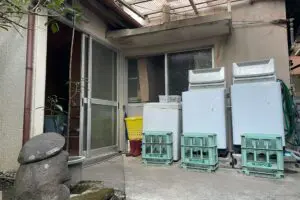 sirabee20260303minokichi3