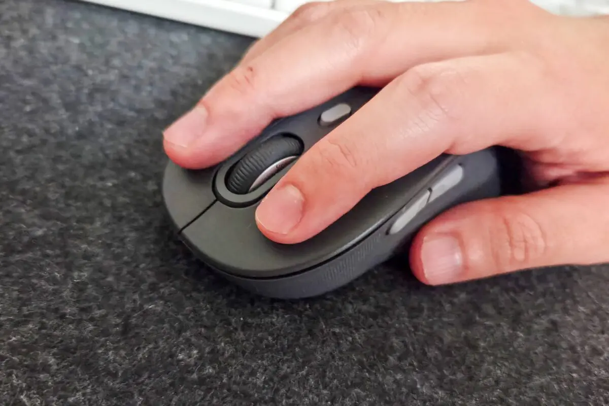 sirabee20260304logi4