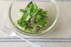 sirabee20260305bowl6