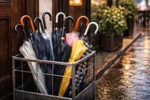 sirabee20260305kasatate