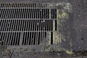 道路に落ちていた殺意の塊、全国の花粉症勢から悲鳴　大量飛散→雨のコンボが「極悪すぎる」と話題