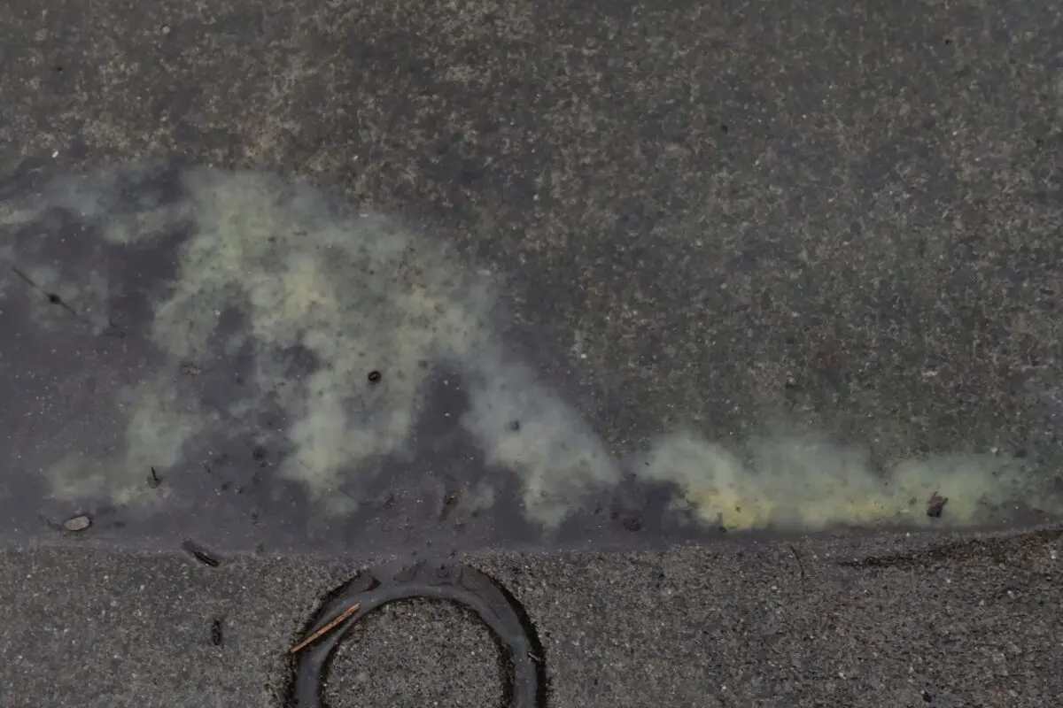 sirabee20260306kafun2