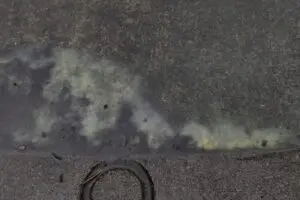 sirabee20260306kafun2