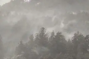 sirabee20260306kafun3