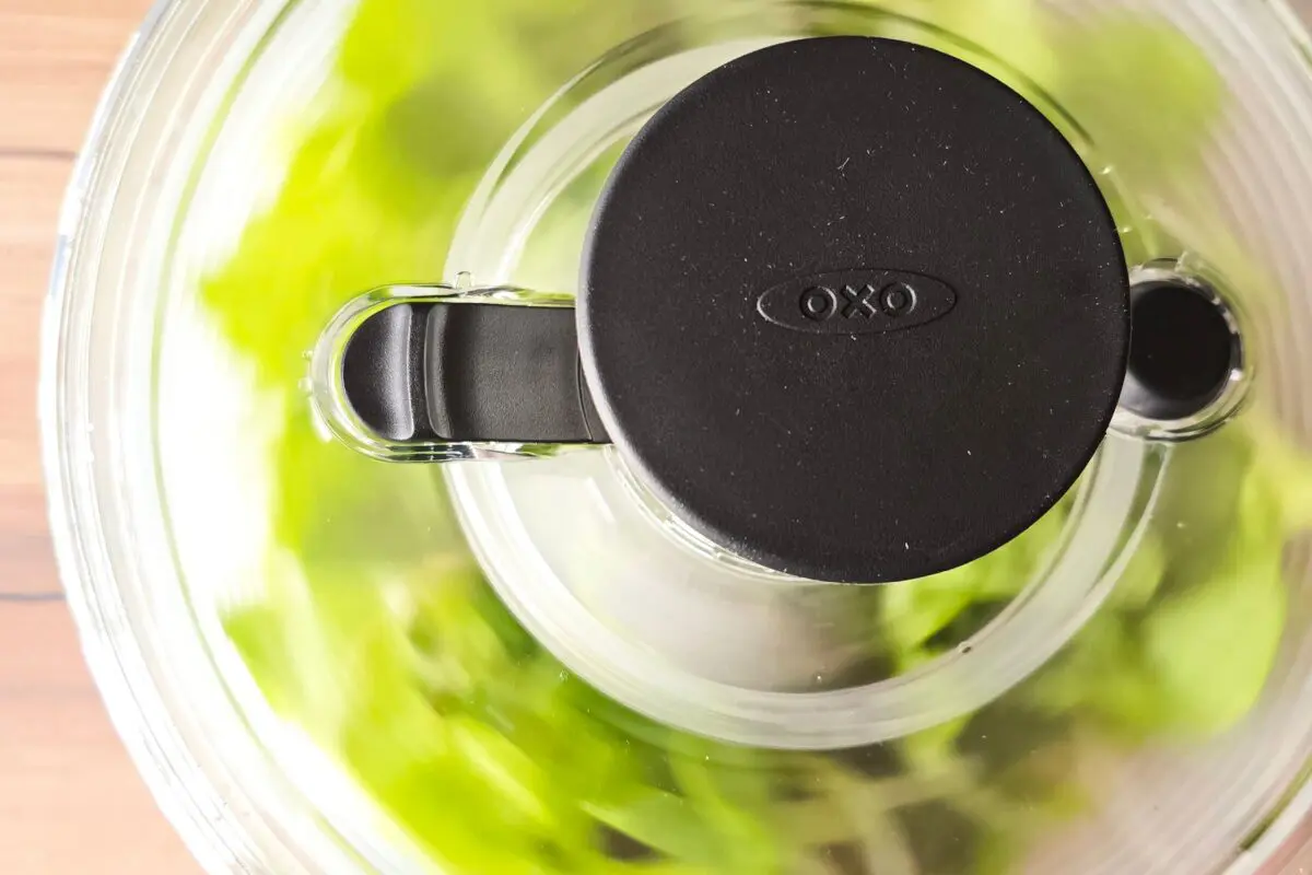 sirabee20260306salad10