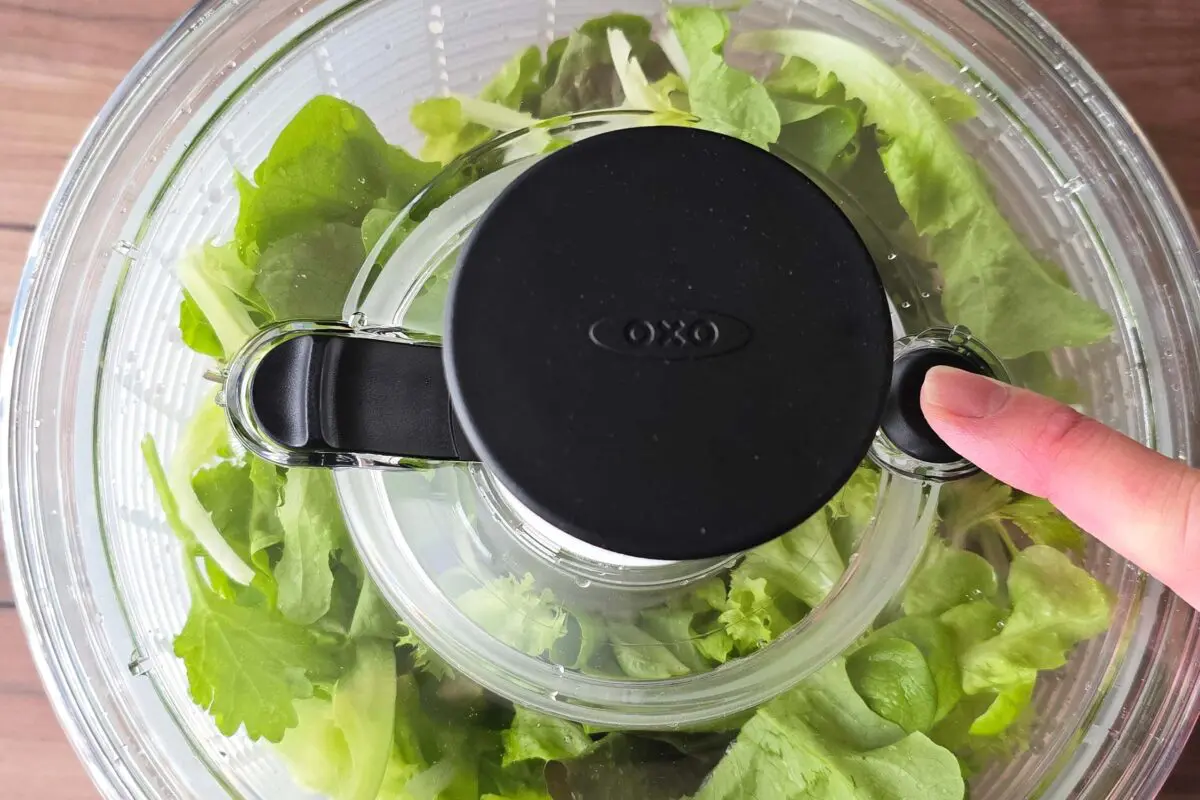 sirabee20260306salad11