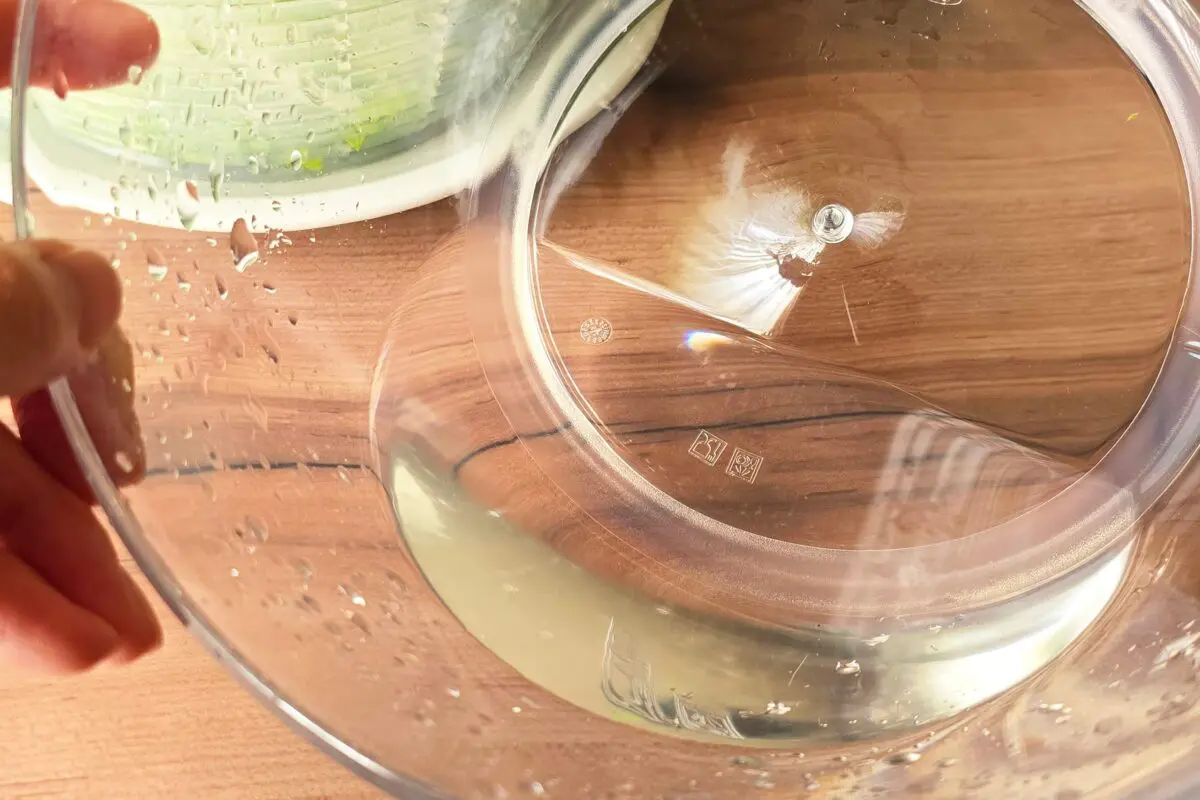 sirabee20260306salad12