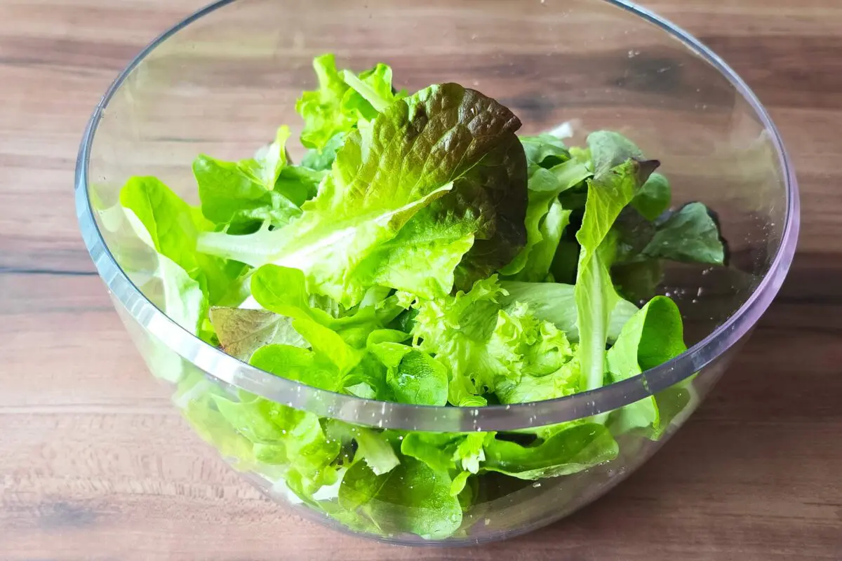 sirabee20260306salad13