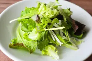 sirabee20260306salad14