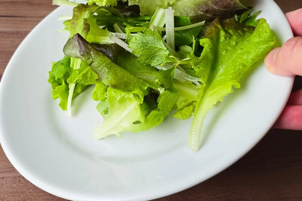 sirabee20260306salad15