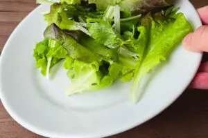 sirabee20260306salad15