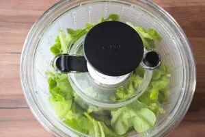 sirabee20260306salad8