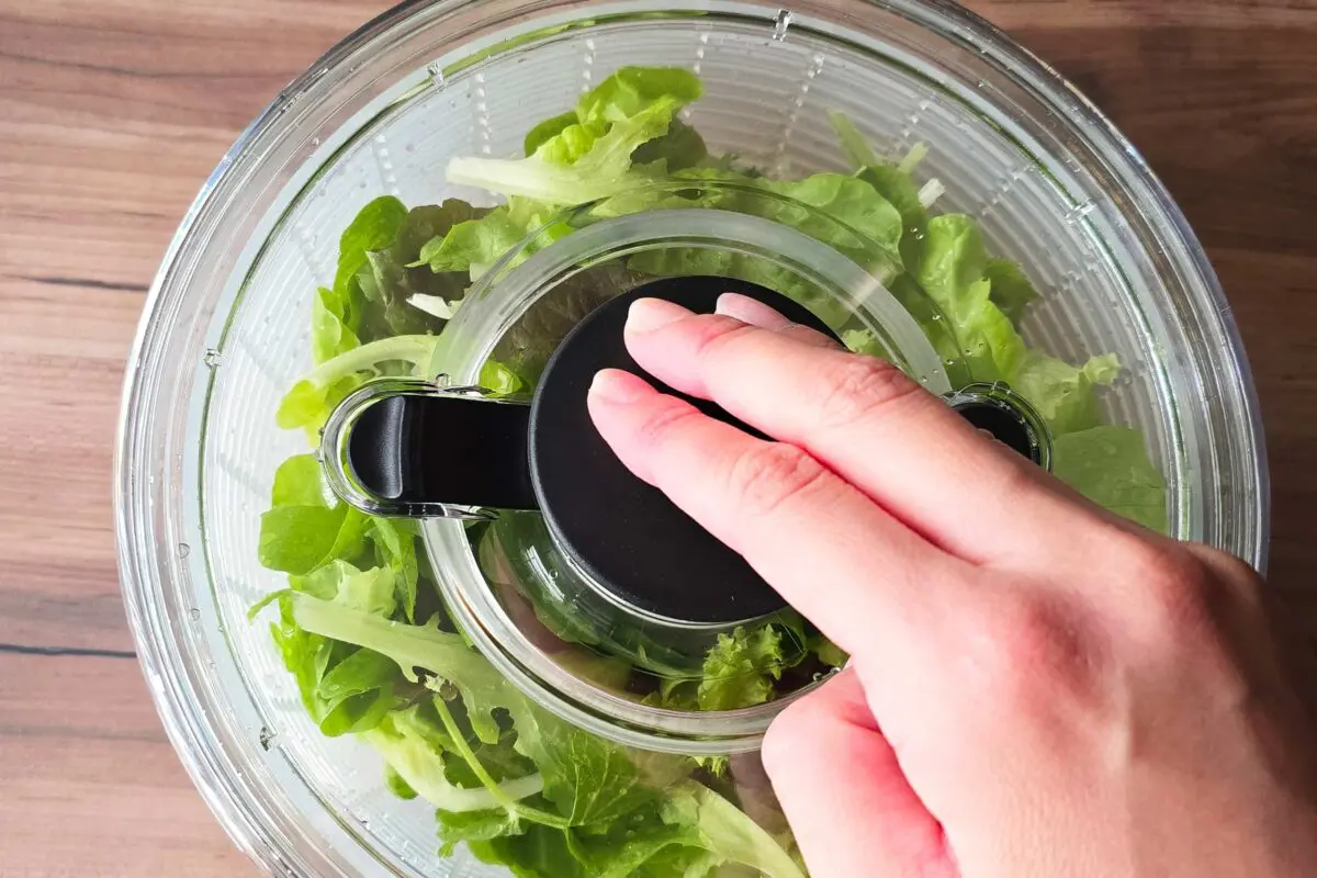 sirabee20260306salad9