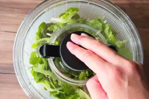 sirabee20260306salad9