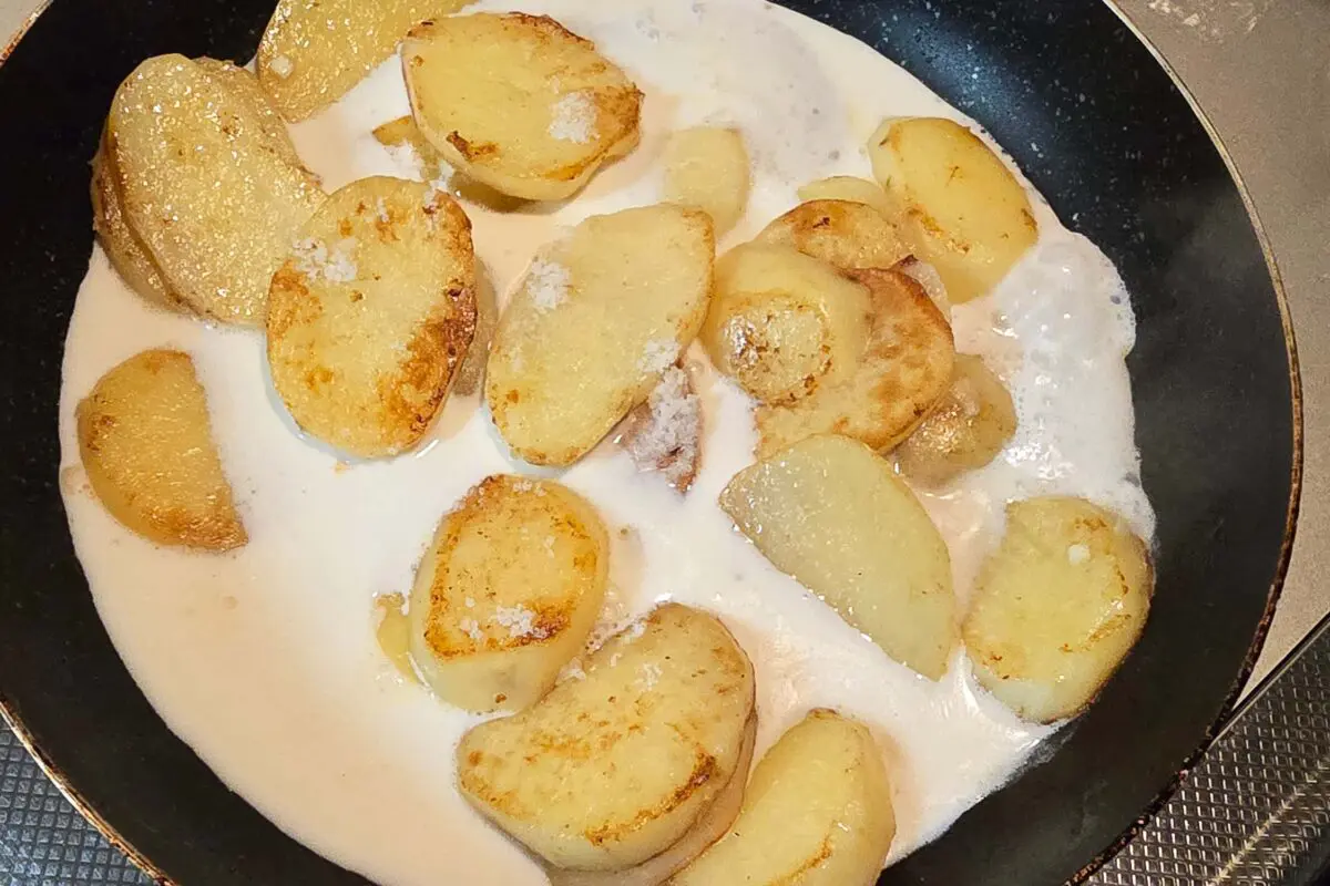 sirabee20260308gratin4