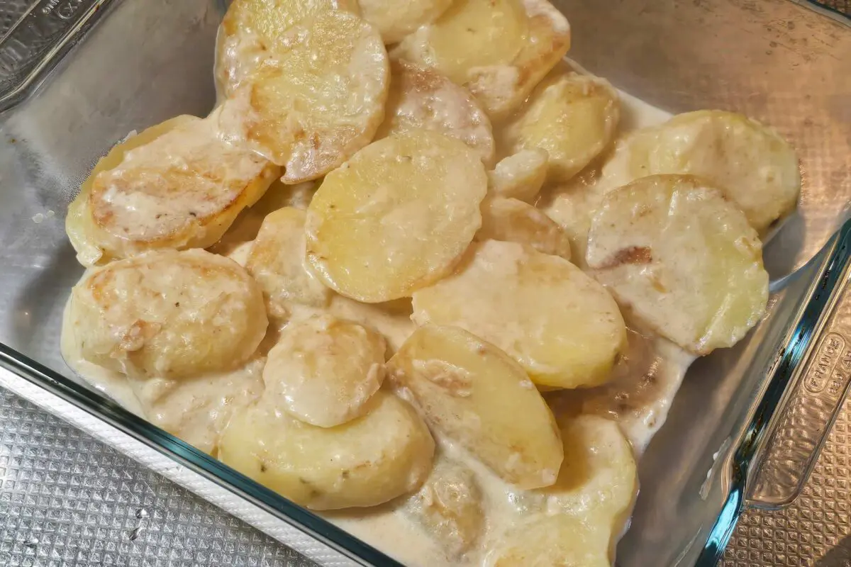 sirabee20260308gratin5