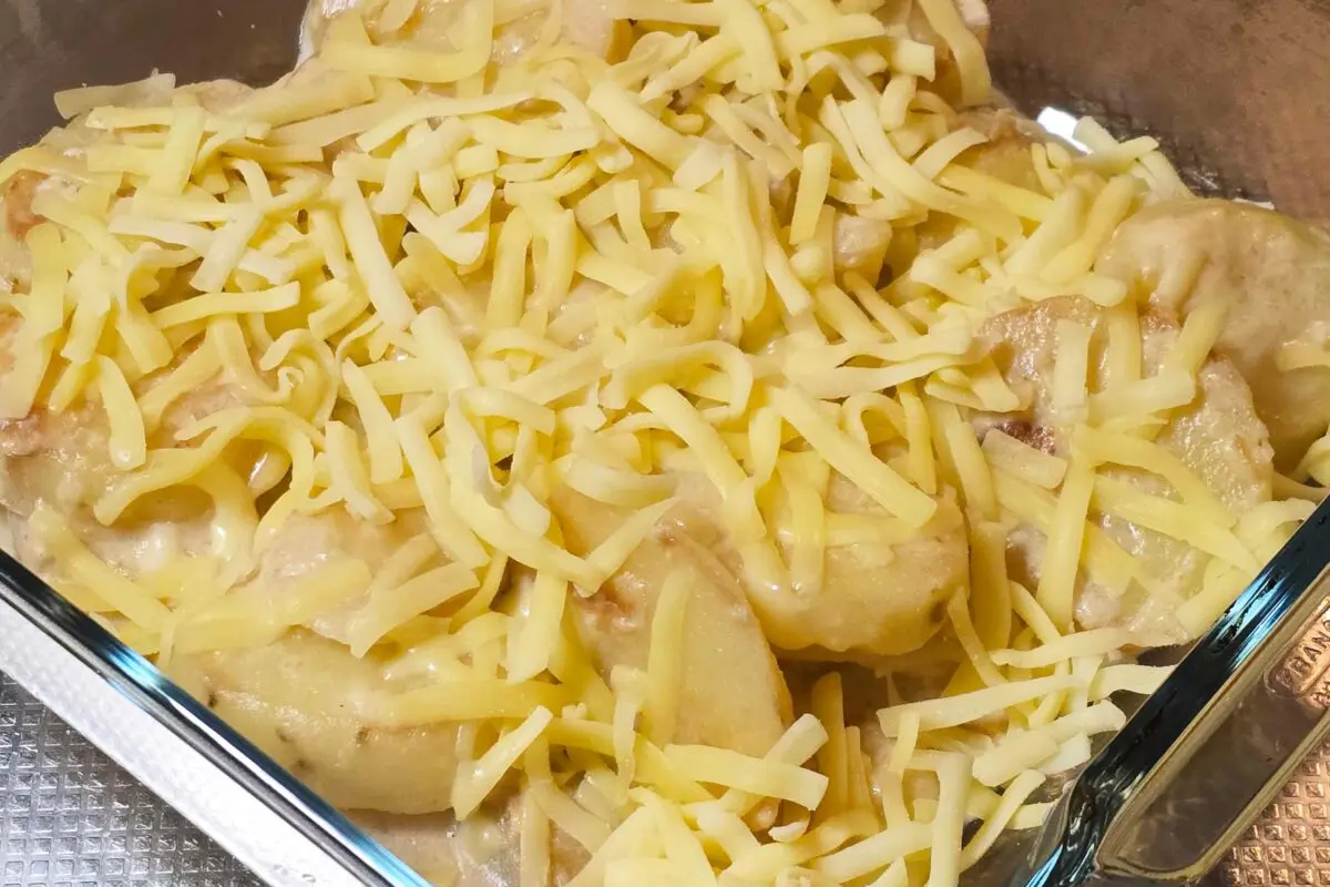 sirabee20260308gratin6