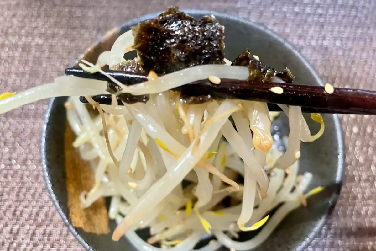 sirabee20260308moyashi8