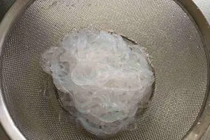 sirabee20260309mahler2