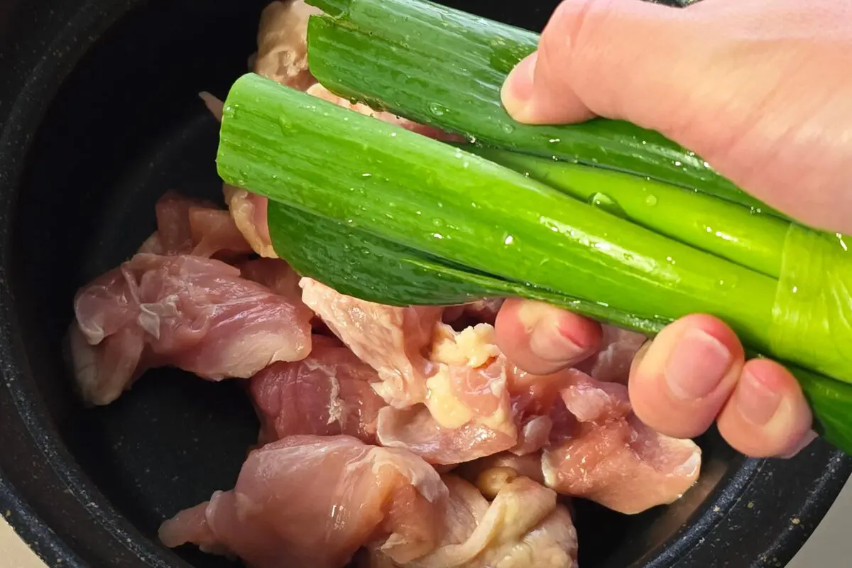 sirabee20260309negi3