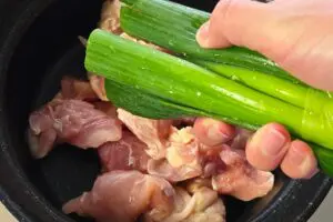 sirabee20260309negi3