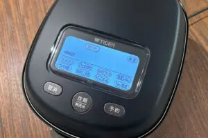 sirabee20260309tiger2