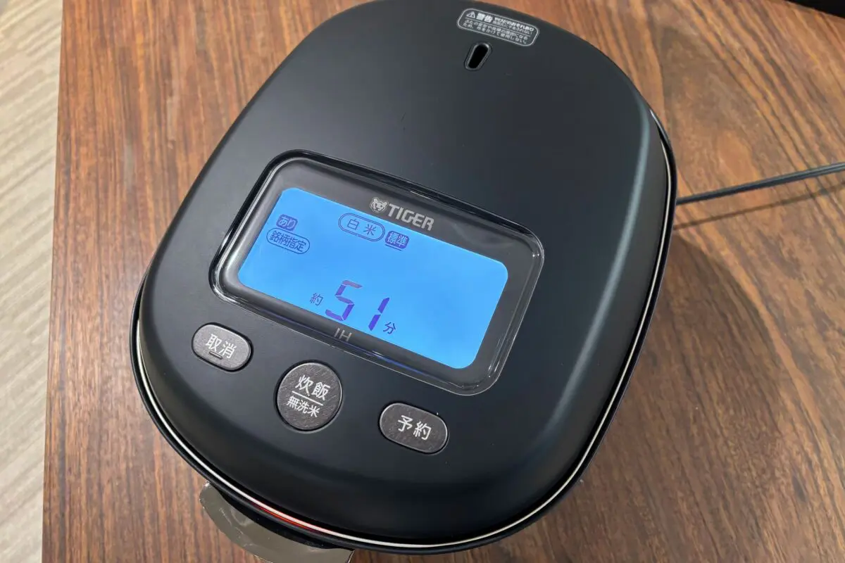 sirabee20260309tiger3