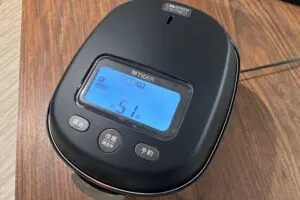 sirabee20260309tiger3