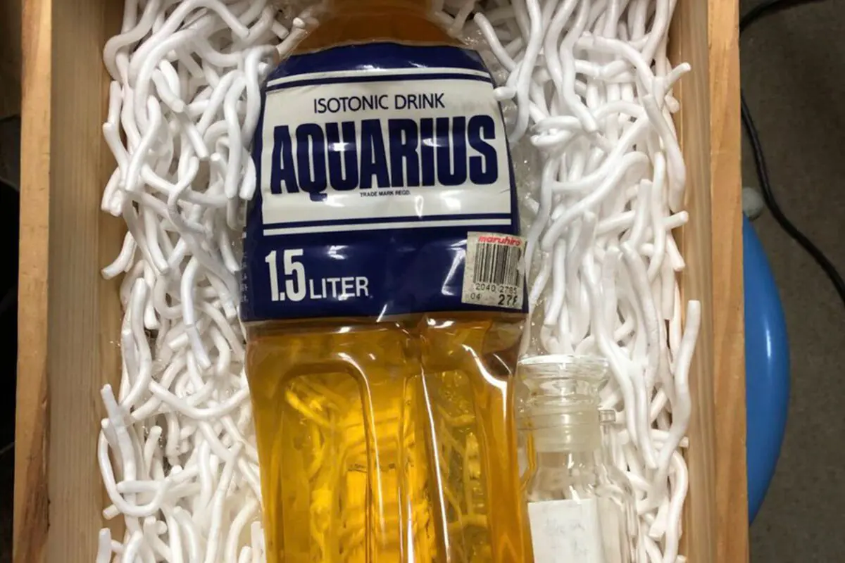 sirabee20260312aquarius