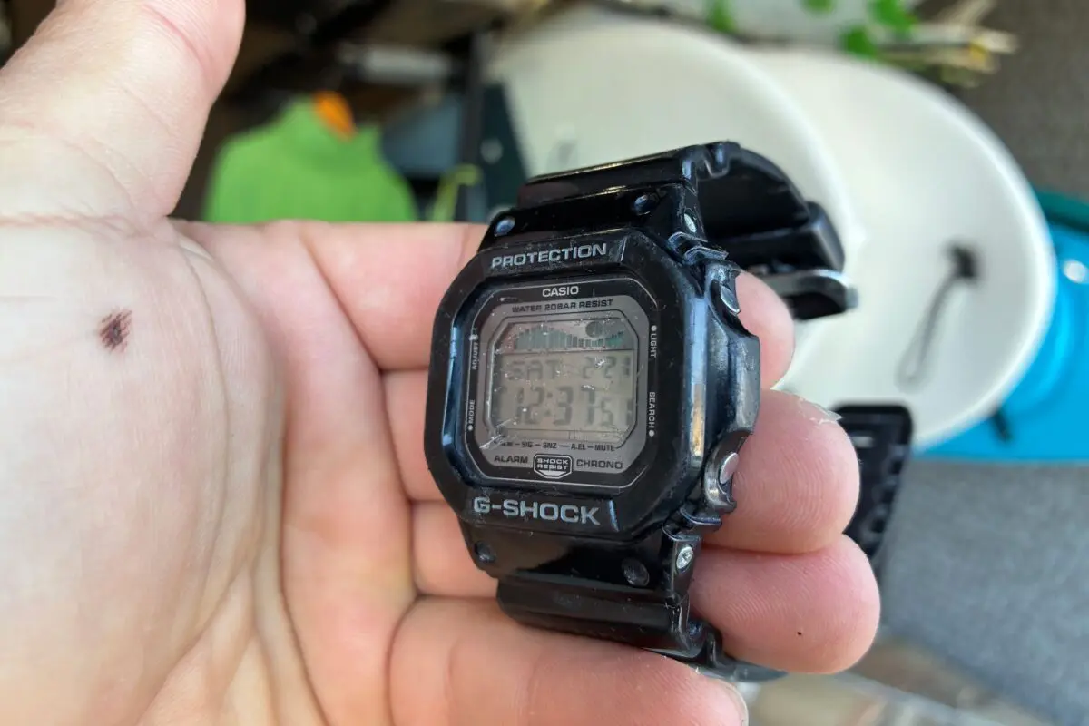 sirabee20260313g-shock2