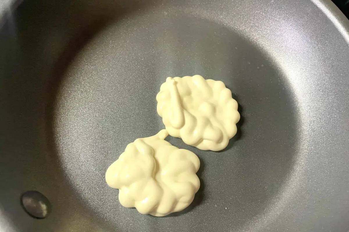 sirabee20260314onion4