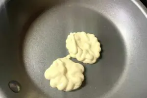 sirabee20260314onion4