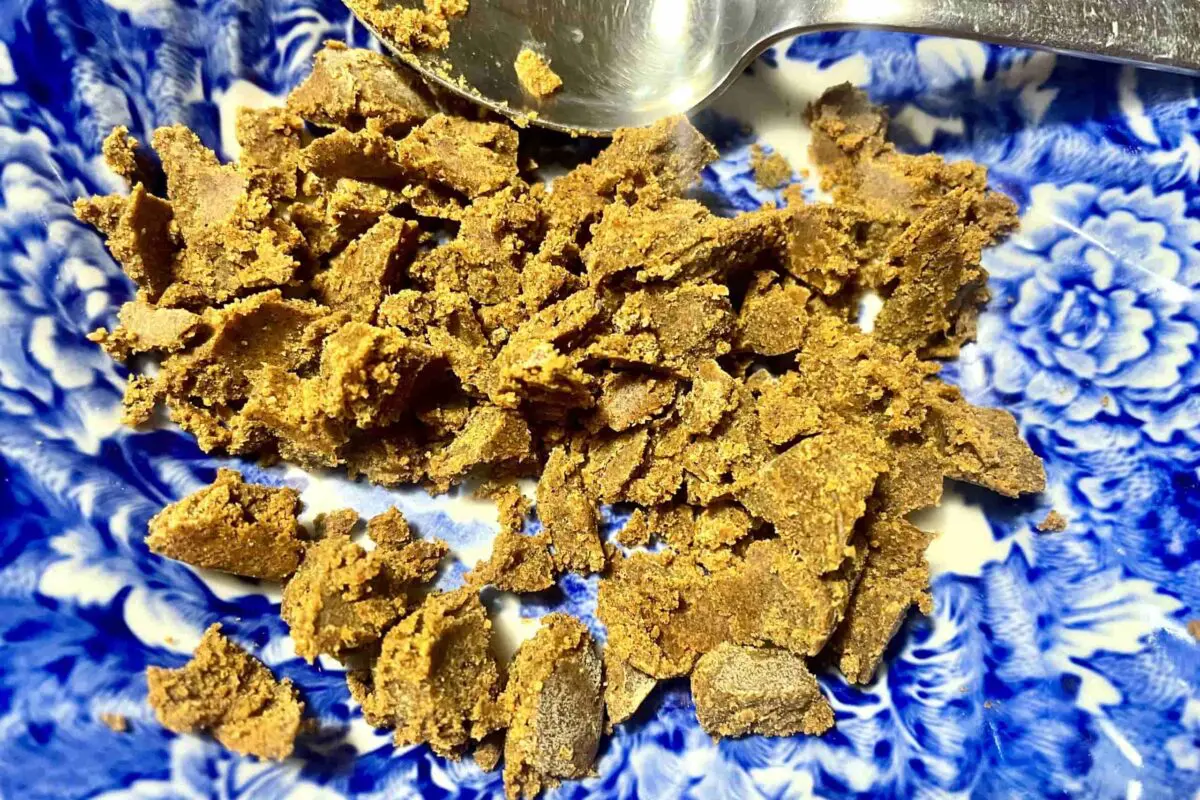 sirabee20260314onion8