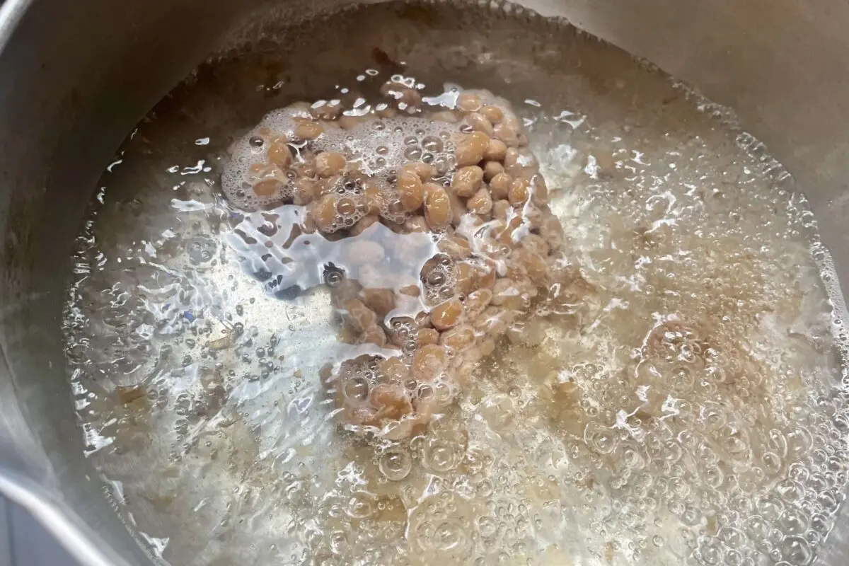 sirabee20260315natto2