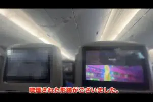 飛行機内トイレでタバコを吸った迷惑客　全面禁煙は25年以上経過も「令和の時代に…」驚きの声