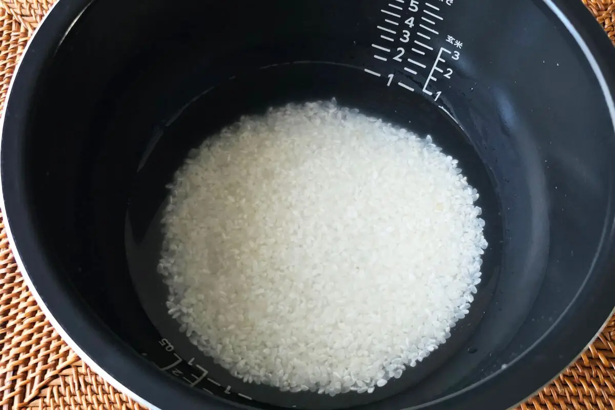 sirabee20260319gohan2