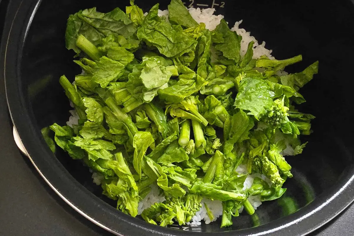 sirabee20260319gohan4