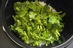 sirabee20260319gohan4