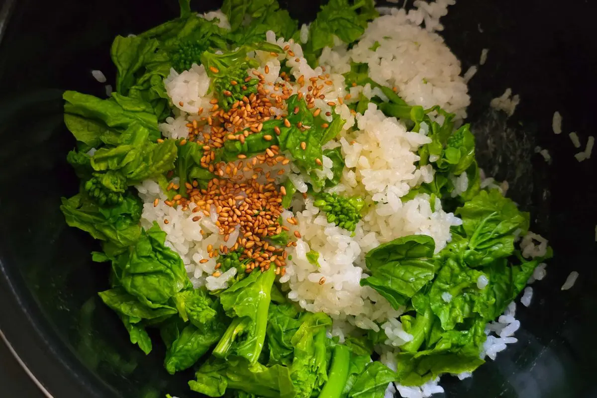 sirabee20260319gohan5