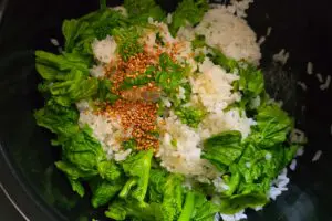 sirabee20260319gohan5