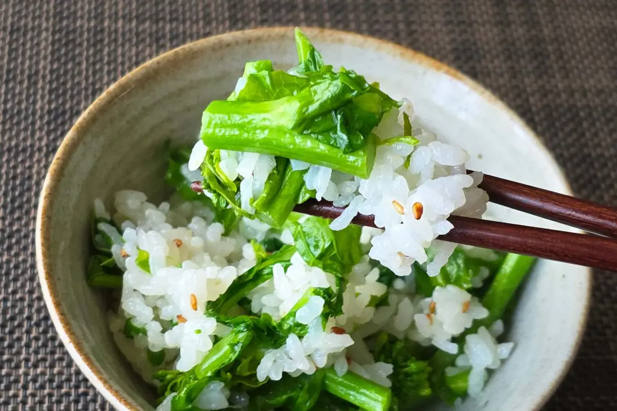 sirabee20260319gohan9