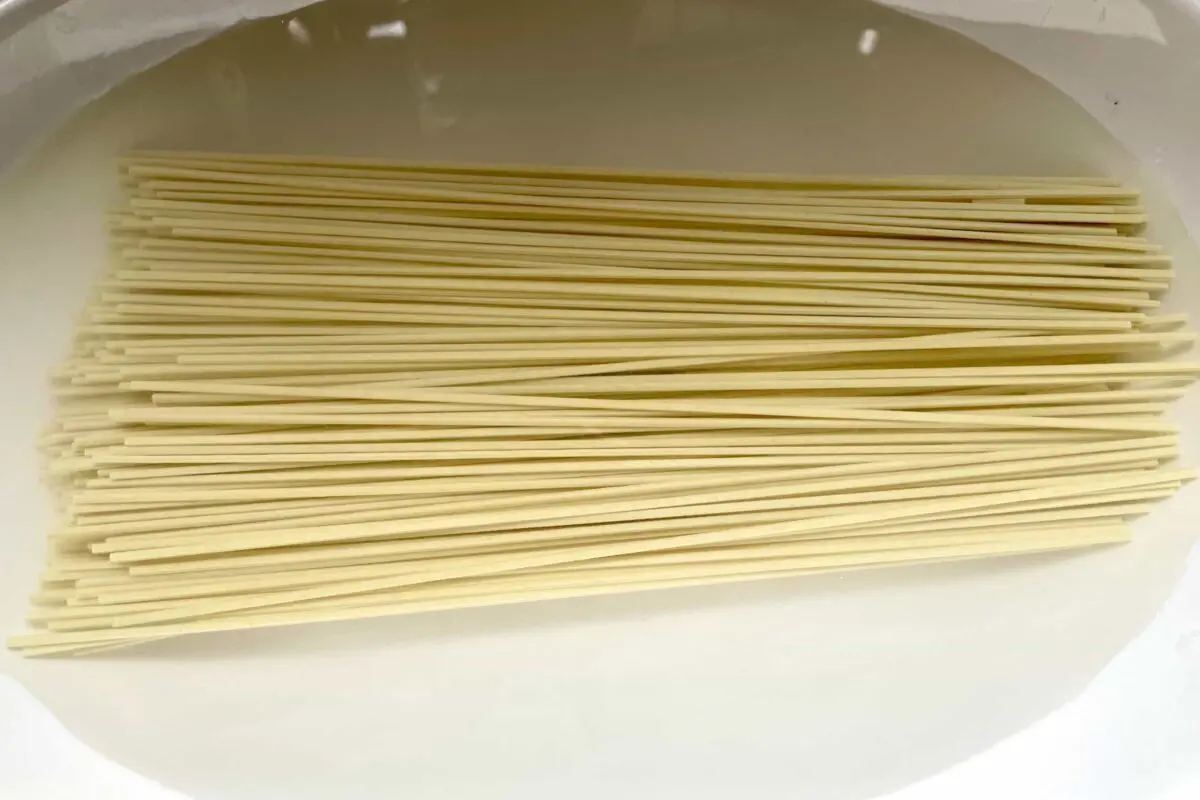 sirabee20260321marutai2