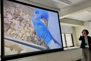 sirabee20260323-seijoishii-potetosarada2