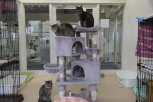 sirabee202603230kanagawa3