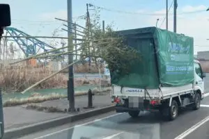 道路で遭遇した危険すぎるトラック、荷台から竹を突き出し暴走か　会社代表は「不適切な行為」認める