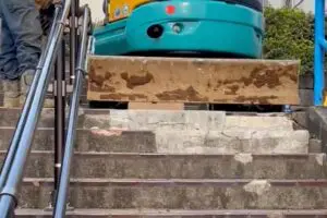 sirabee20260324itabashi