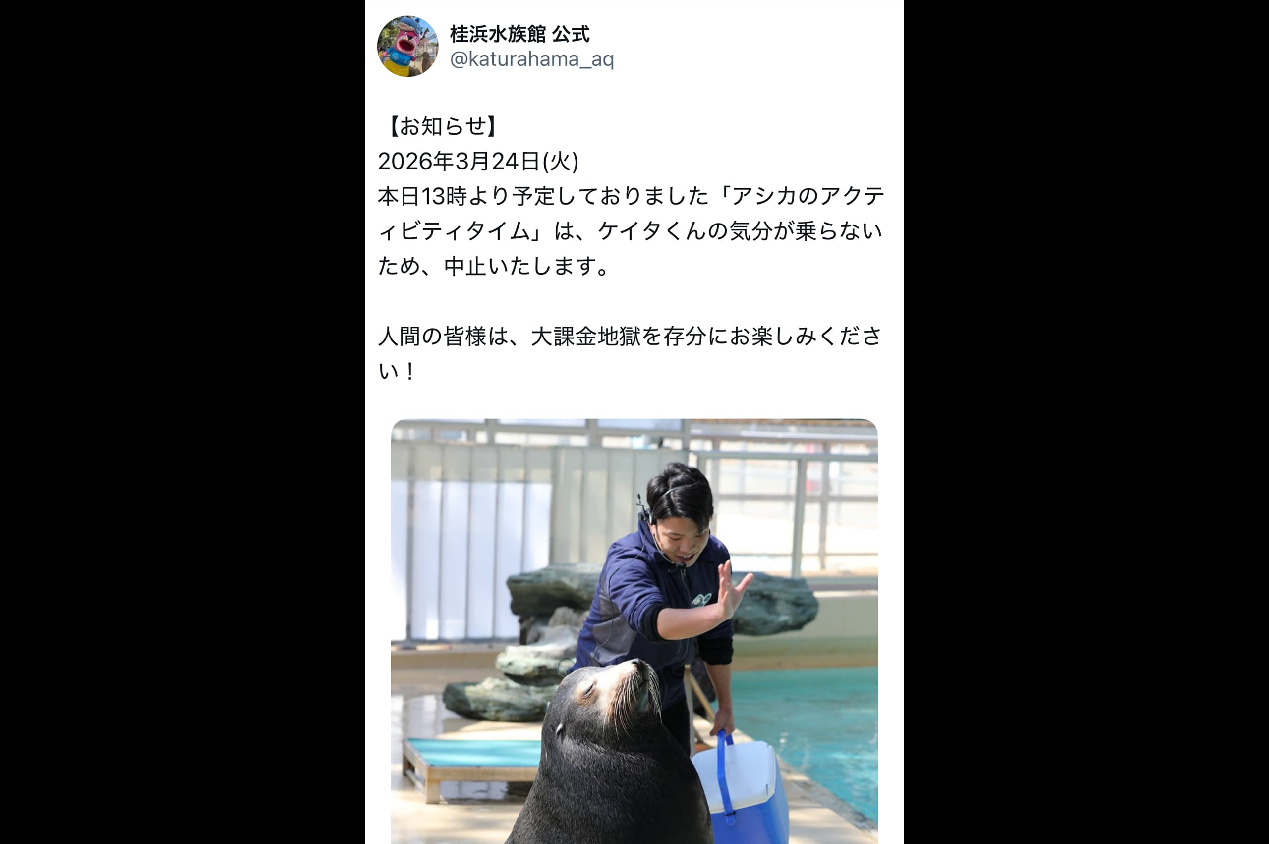 桂浜水族館 、アシカイベント中止の“正直すぎる理由”が反響呼ぶ 
