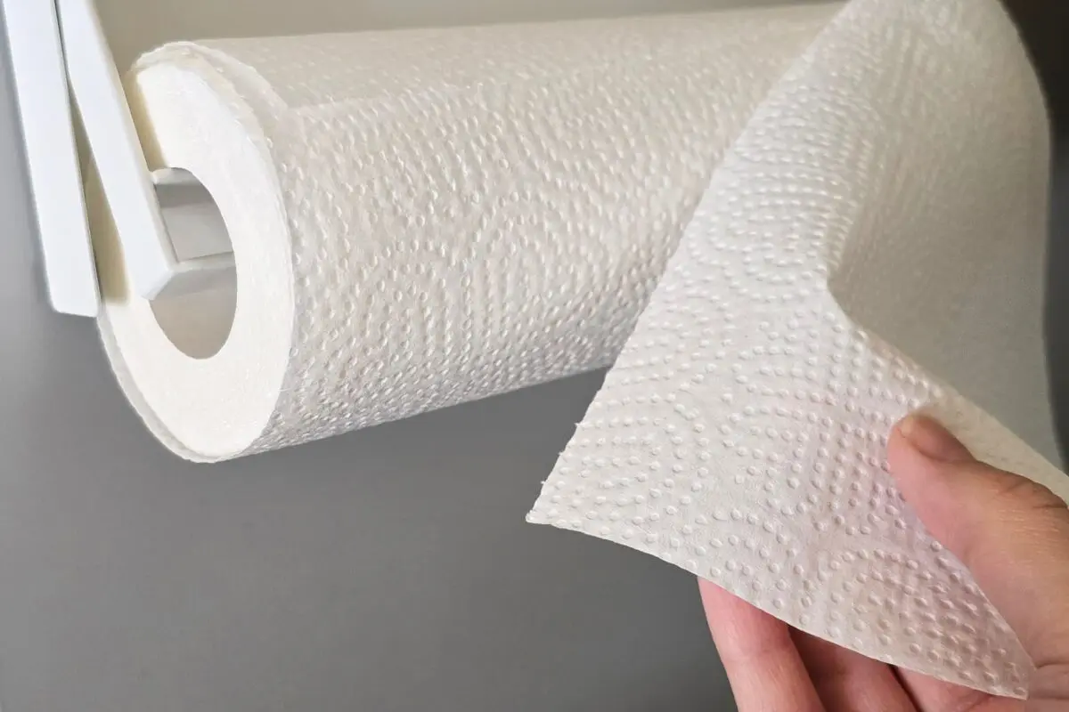 sirabee20260324paper8