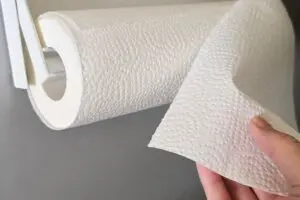 sirabee20260324paper8