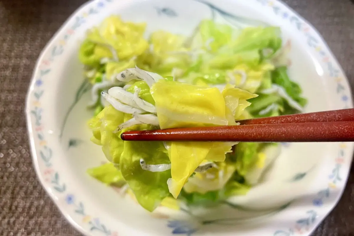 sirabee20260326cabbage8